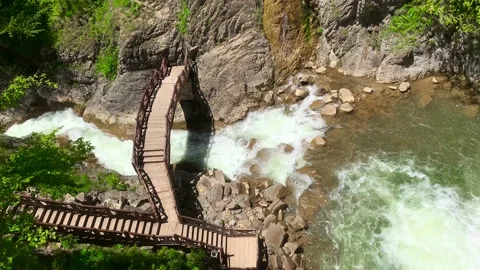 Forest mist, over the river and scenic road through the forest.Black Sea Stock Footage 196121886