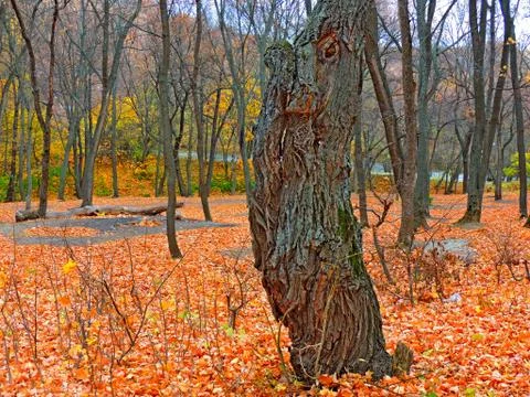 Forest monster that guards the forest Foto stock