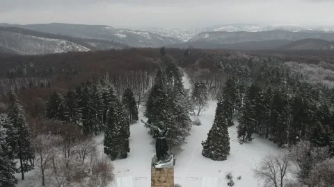 Forest monument aerial winter view Video stock 145020488