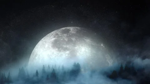 Forest moon rise Stock Footage 44235295