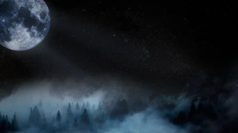 Forest moon01 Stock Footage 44235288