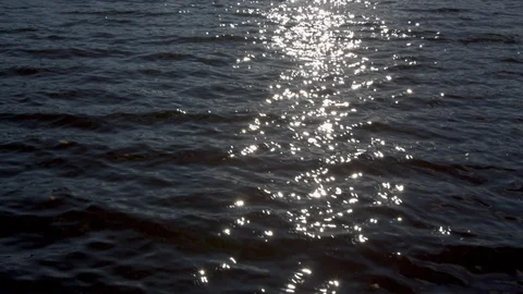 Forest, mountain and sunlight reflecting on the lake surface on a sunny day Stock Footage 103824082