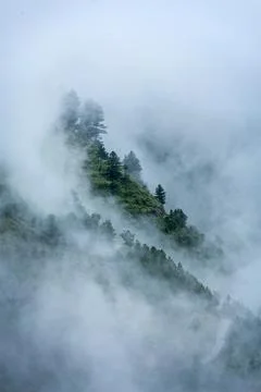 Forest Mountain with Cloud Covered Tree Landscape Foto stock