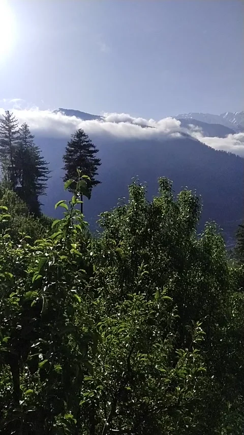 Forest mountain cloud Stock Footage 240930410