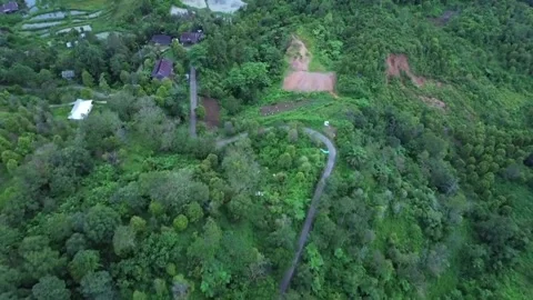 Forest in mountain countryside 動画素材 262818390