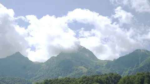 Forest mountain with evergreen trees and blue sky in summer sunny day. Tourism Stock Footage 116592725