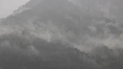 The forest on the mountain in the fog Stock Footage 95331277