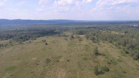 Forest in the mountain Stock Footage 83939367