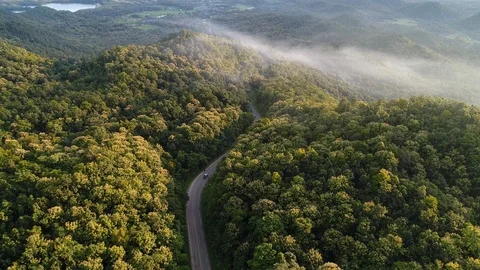 Forest on the mountain Stock Footage 95790911