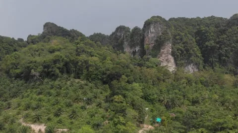 Forest on the mountain in Krabi 库存影片 260430567