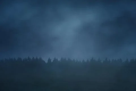 Forest in the mountain at night Stock Photos
