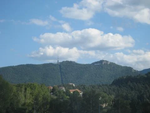 Forest on the mountain Stock Photos