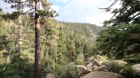 Forest Mountain Range Stock Footage 54675345