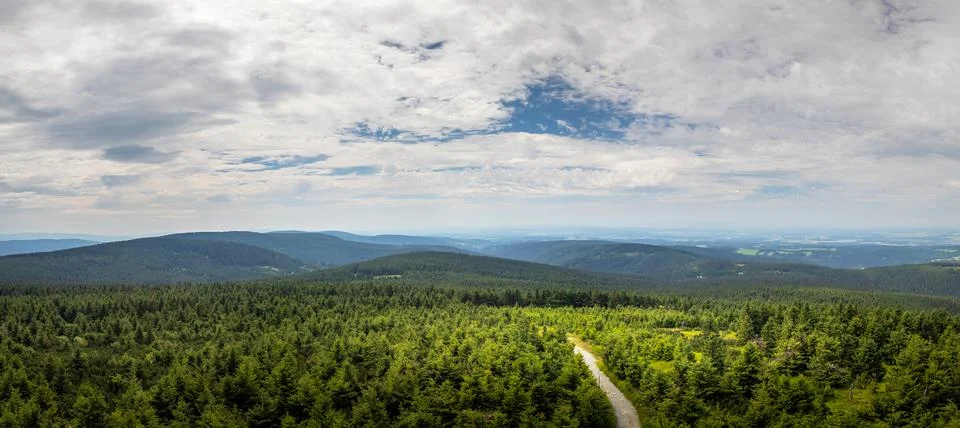 Forest on the mountain ridges with a path Stock Photos