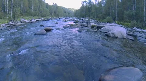 Forest mountain river (the camera pans down stream) Stock Footage 54406738