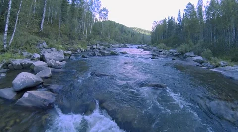 Forest mountain river (the camera pans down stream) Video stock 54406961