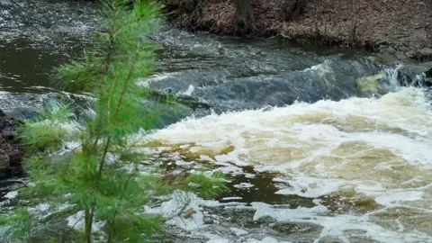 A forest mountain river with a fast current and a small waterfall. Stock Footage 307670827