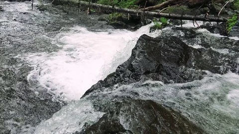 Forest mountain river Stock Footage 73871709