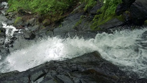 Forest mountain river Stock Footage 73871880