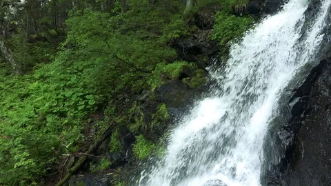 Forest mountain river Stock Footage 73871905
