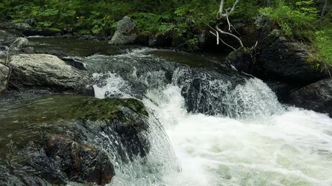 Forest mountain river Stock Footage 73872198