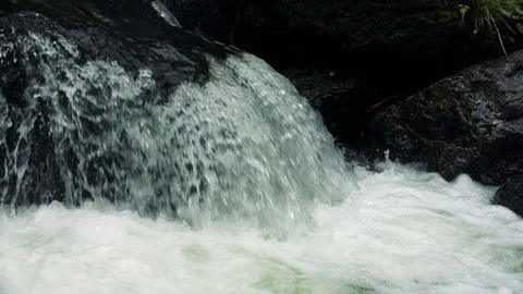 Forest mountain river Stock Footage 73872239