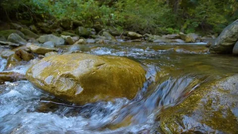 Forest Mountain River Stock Footage 97013534