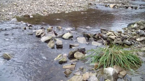 Forest Mountain River Stock Footage 122244663