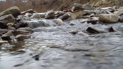 Forest Mountain River Stock Footage 122245485