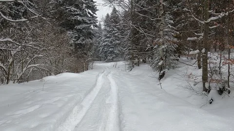 Forest mountain road covered in snow with a track of an off-road vehicle Stock Footage 328164651