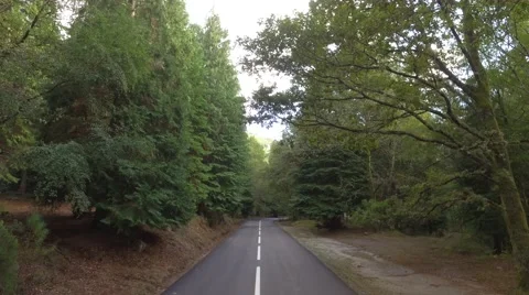 Forest Mountain Road steady shot 4K Stock Footage 67963711