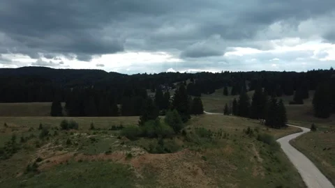 Forest in a mountain scene from drone Stock Footage 297253532