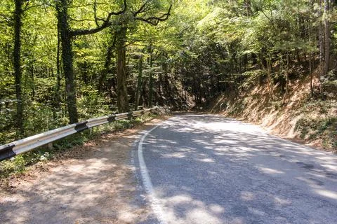 Forest mountain serpentine. Stock Photos