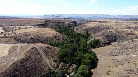Forest Mountain Sky Landscape 4K Stock Footage 301606366