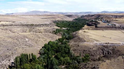 Forest Mountain Sky Landscape 4K Stock Footage 301606563