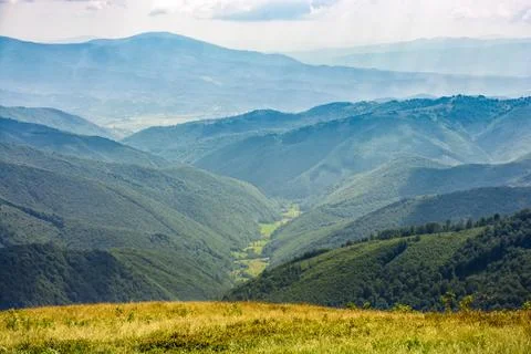 Forest on a  mountain slope Stock Photos
