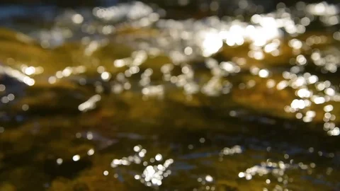 Forest Mountain Stream Blur Stock Footage 97105649