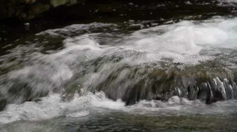 Forest mountain stream Stock Footage 8652514