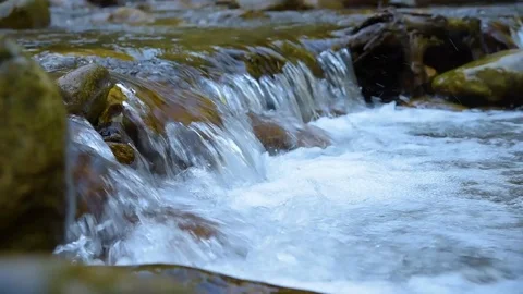 Forest Mountain Stream Stock Footage 96997115