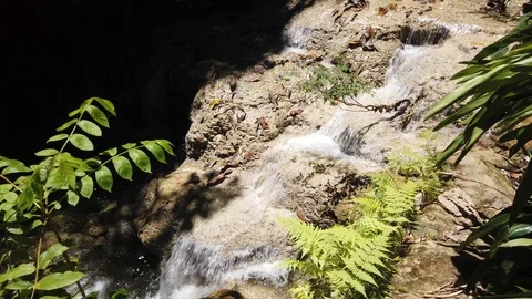 Forest Mountain Stream. Forest River. Mountain River. Water. Cascade Waterfall.  Stock Footage 109130812