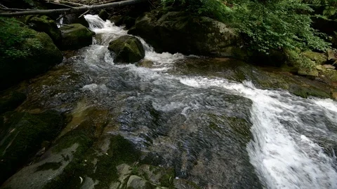 Forest mountain stream running over rocks Stock Footage 92288717