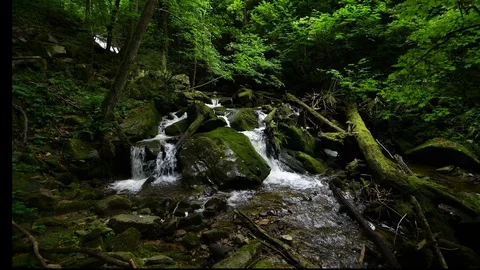 Forest mountain stream running over rocks Stock Footage 92289748