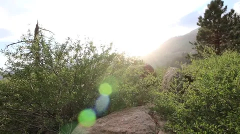 Forest Mountain Top Stock Footage 54675371