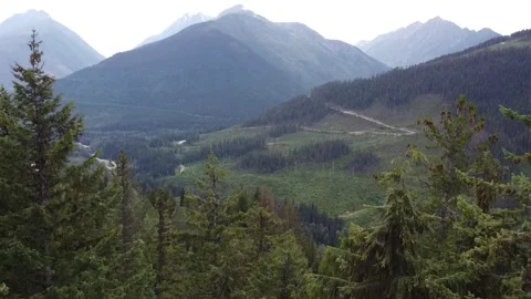 Forest Mountain Valley Down to Trees Drone Short Clip 4k Stock Footage 248905929