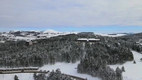 Forest of mountain on winter Stock Footage 148680495