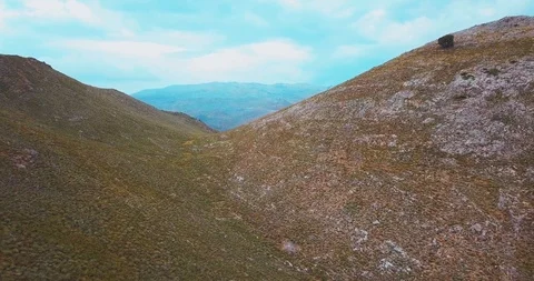 Forest Mountains 3 Stockbeeldmateriaal 96611039