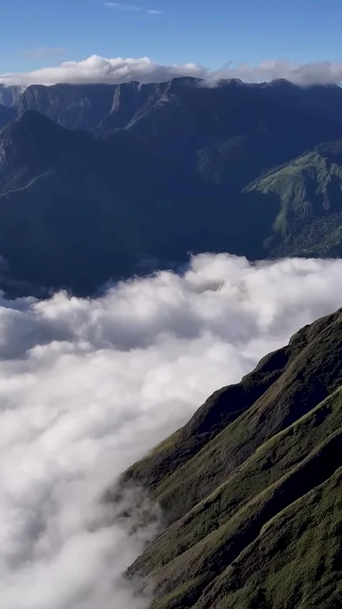 Forest Mountains Above Clouds Vertical 4K Stock Footage 328069218