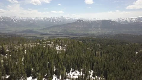 Forest with mountains across the valley Stock Footage 166323268