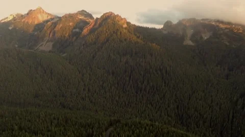 Forest mountains aerial view Vidéo 42526073