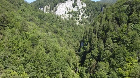Forest in the mountains aerial view Stock Footage 145027725